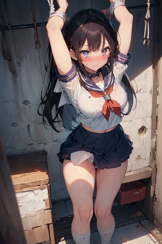 2 girls, strapped to ceiling, ((((hanging:1.5))), (tied wrists:1.5), (arms up), tied wrists, (handcuffed:1.5), (inside basement, torture room, cryogenic cell, cryogenic cell), (open legs:1.5), (blushing:1.5), (((blushing, terrified, crying))), (wrist cuffs, ankle cuffs, wrists tied, ankles tied), arms to the sides, ((tight clothing, short sleeves, sailor uniform, miniskirt, shoeless)), perfect face, detailed face, detailed eyes, beautiful eyes, big breasts, long hair