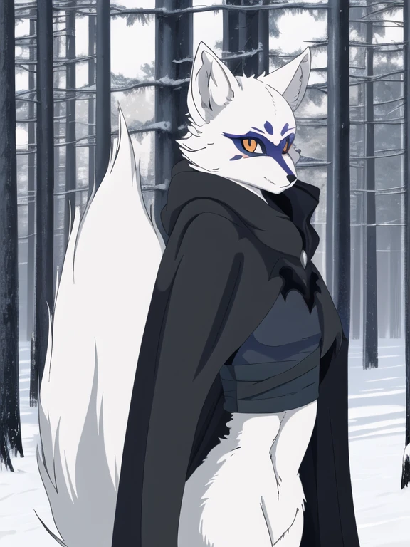 Alopex, arctic fox, furry, blue mark, tmnt, serious look, orange eyes, girl1, solo, park, forest, black cape, cloak, robe, black bandage, best quality, masterpiece,