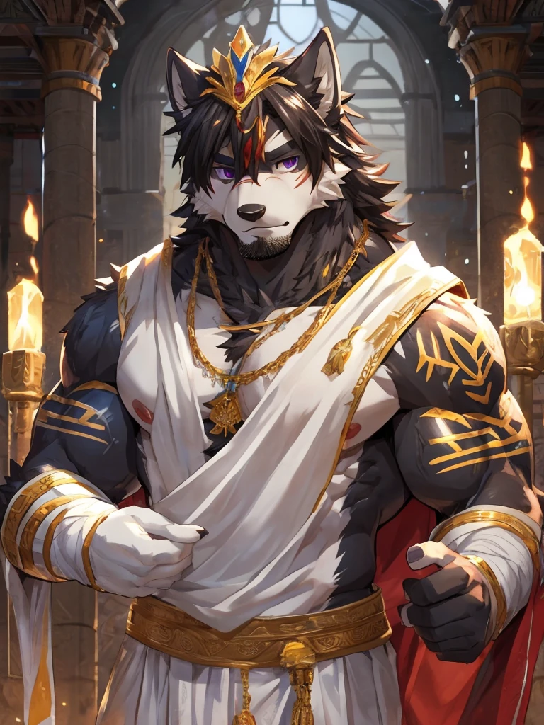 embedding:black wolf, male,purple eyes,Scar on the face, scar on the body,Single person,Toga,Costumes of ancient Greece,White clothes,Gold decoration,White halo overhead,Sacred tattoos,Laurel,A sacred gesture,Stubble,sacred,Expressions and movements full of divinity,A serious expression,The highest quality of scene detail,adult,Tall and powerful,muscle,Best quality hands, best quality eye,detailed fur,Delicate eyes.Extreme picture quality,by sollyz,by zixiong,by milkytiger1145