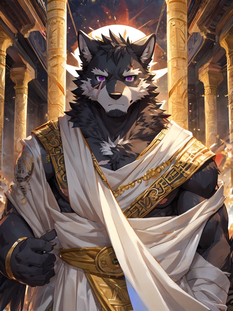 embedding:black wolf, male,purple eyes,Scar on the face, scar on the body,Single person,Toga,Costumes of ancient Greece,White clothes,Gold decoration,White halo overhead,Sacred tattoos,Laurel,A sacred gesture,Stubble,sacred，Expressions and movements full of divinity,A serious expression,The highest quality of scene detail,adult,Tall and powerful,muscle，Best quality hands, best quality eye，detailed fur，Delicate eyes.Extreme picture quality，by sollyz,by zixiong,by milkytiger1145