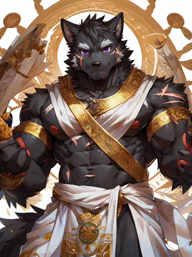embedding:black wolf, male,purple eyes,Scar on the face, scar on the body,Single person,Toga,Costumes of ancient Greece,White clothes,Gold decoration,White halo overhead,Sacred tattoos,Laurel,A sacred gesture,Stubble,sacred,Expressions and movements full of divinity,A serious expression,The highest quality of scene detail,adult,Tall and powerful,muscle,Best quality hands, best quality eye,detailed fur,Delicate eyes.Extreme picture quality,by sollyz,by zixiong,by milkytiger1145