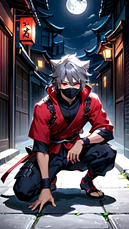 a male ninja with cat-like features, 18 years old, grey hair, red eyes, ninja attire, in the dark night, blending into the shadows, lower half of face obscured, faintly lit by moonlight, in an urban setting, full body, posed in a crouching stance, best quality, ultra-detailed, masterpiece