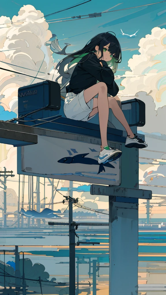 masterpiece, Exquisite detail,Highest quality, One girl, alone, handrail, cloud, Sitting, Outdoor, whale, Long Hair, shoes, null, Long sleeve, sneakers, Power lines, White footwear, Black Hair, View your viewers, Electric pole, bangs, cloudy null, fish, bird, Green Eyes, Shorts, animal, Day, Black Shirt, barefoot