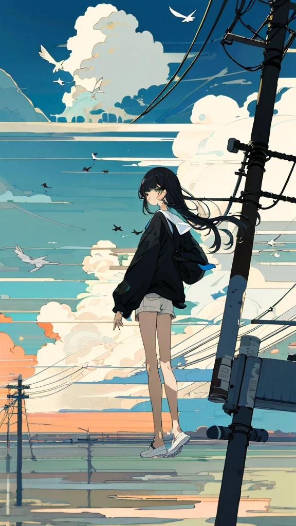 masterpiece, Exquisite detail,Highest quality, One girl, alone, handrail, cloud, 立ってnullを見上げている,Long Hair, shoes, null, Long sleeve, sneakers, Power lines, White footwear, Black Hair, View your viewers, Electric pole, bangs, cloudy null, fish, bird, Green Eyes, Shorts, animal, Day, Black Shirt, barefoot