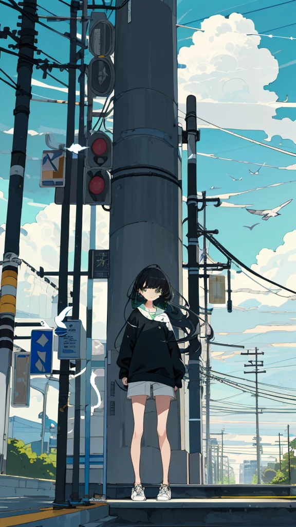 masterpiece, Exquisite detail,Highest quality, One girl, alone, handrail, cloud, Standing in the city,Long Hair, shoes, null, Long sleeve, sneakers, Power lines, White footwear, Black Hair, View your viewers, Electric pole, bangs, cloudy null, fish, bird, Green Eyes, Shorts, animal, Day, Black Shirt, barefoot