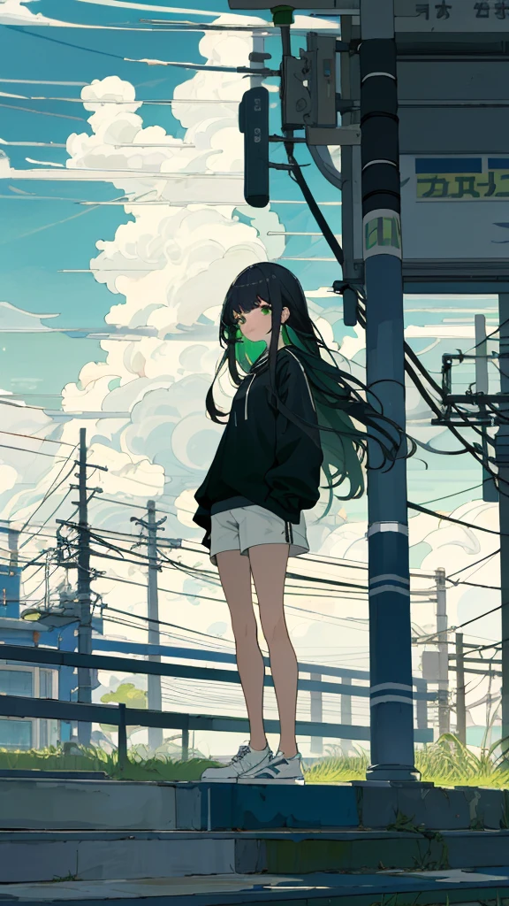 masterpiece, Exquisite detail,Highest quality, One girl, alone, handrail, cloud, Standing in the city,Long Hair, shoes, null, Long sleeve, sneakers, Power lines, White footwear, Black Hair, View your viewers, Electric pole, bangs, cloudy null, fish, bird, Green Eyes, Shorts, animal, Day, Black Shirt, barefoot