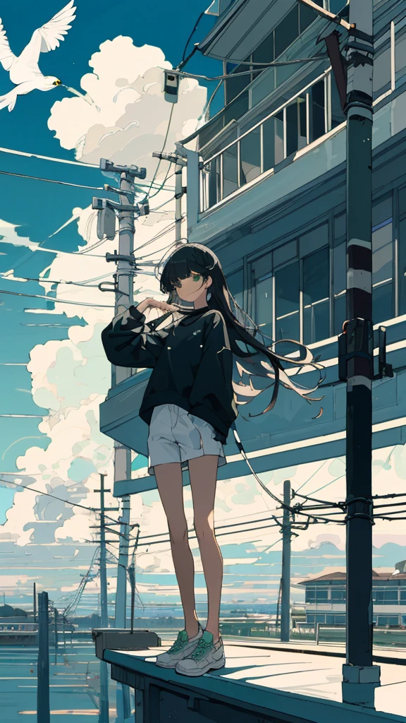 masterpiece, Exquisite detail,Highest quality, One girl, alone, handrail, cloud, Standing in the city,Long Hair, shoes, null, Long sleeve, sneakers, Power lines, White footwear, Black Hair, View your viewers, Electric pole, bangs, cloudy null, fish, bird, Green Eyes, Shorts, animal, Day, Black Shirt, barefoot