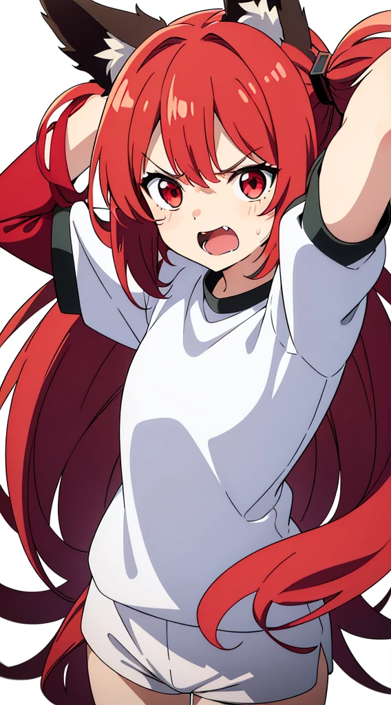 (1girl ,,small),angry expression,white shirt,long sleeveswhite shorts, Hatsune Miku,red eyes,medium hair,messy hair,fox ears,(white background,open mouth