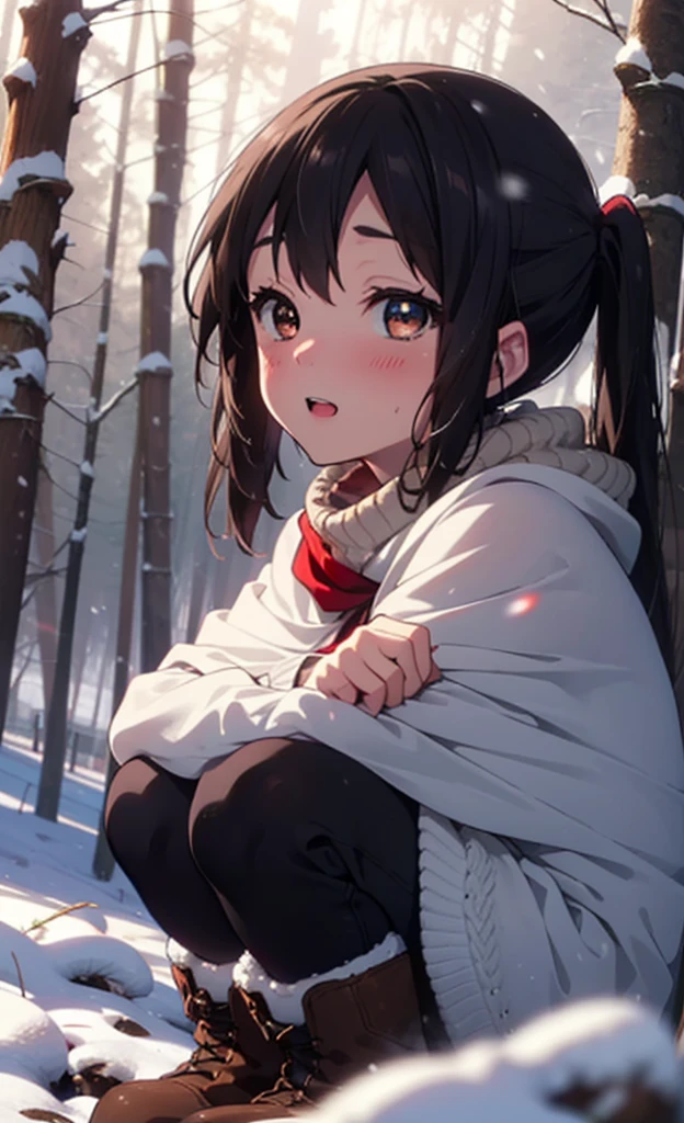 teeth, Azusa Nakano, Black Hair, (Brown eyes:1.5), Long Hair, ,Twin tails,smile,smile,blush,White Breath,
Open your mouth,snow,Ground bonfire,, Outdoor, boots, snowing, From the side, wood, suitcase, Cape, Blurred, , forest, White handbag, nature,  Squat, Mouth closed, Cape, winter, Written boundary depth, Black shoes, red Cape break looking at viewer, Upper Body, whole body, break Outdoor, forest, nature, break (masterpiece:1.2), Highest quality, High resolution, unity 8k wallpaper, (shape:0.8), (Beautiful and beautiful eyes:1.6), Highly detailed face, Perfect lighting, Highly detailed CG, (Perfect hands, Perfect Anatomy),