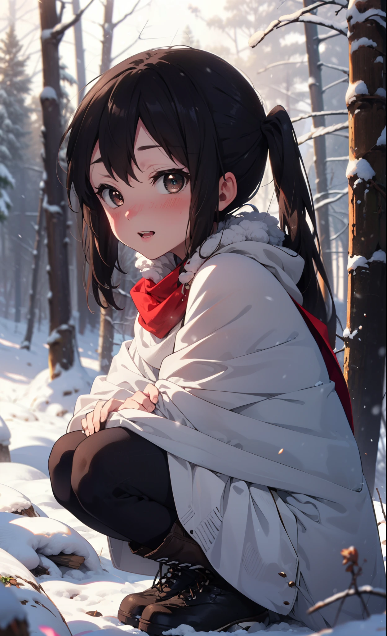 teeth, Azusa Nakano, Black Hair, (Brown eyes:1.5), Long Hair, ,Twin tails,smile,smile,blush,White Breath,
Open your mouth,snow,Ground bonfire,, Outdoor, boots, snowing, From the side, wood, suitcase, Cape, Blurred, , forest, White handbag, nature, Squat, Mouth closed, Cape, winter, Written boundary depth, Black shoes, red Cape break looking at viewer, Upper Body, whole body, break Outdoor, forest, nature, break (masterpiece:1.2), Highest quality, High resolution, unity 8k wallpaper, (shape:0.8), (Beautiful and beautiful eyes:1.6), Highly detailed face, Perfect lighting, Highly detailed CG, (Perfect hands, Perfect Anatomy),