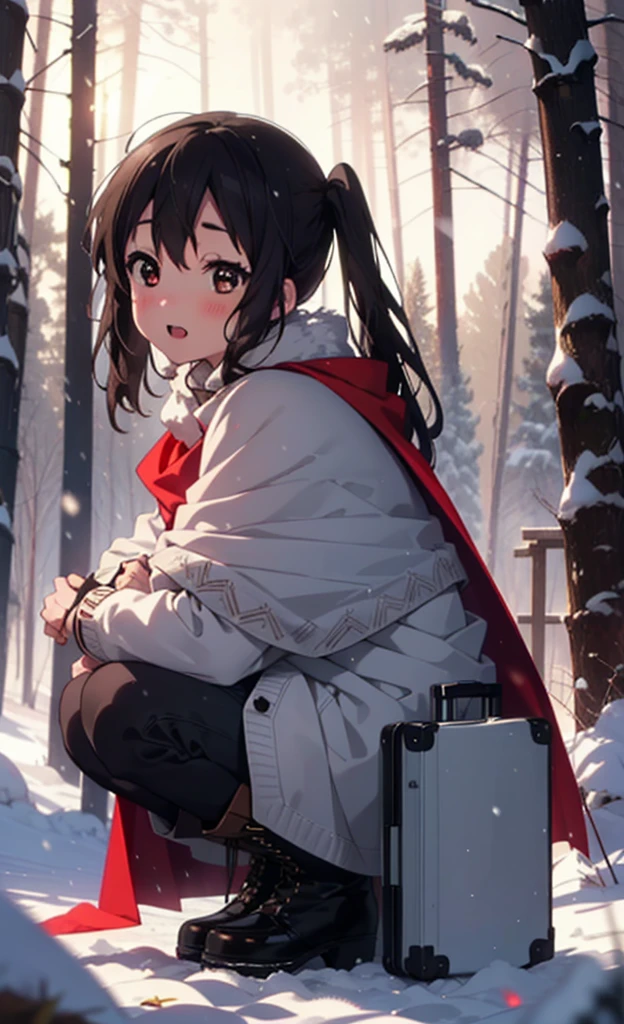teeth, Azusa Nakano, Black Hair, (Brown eyes:1.5), Long Hair, ,Twin tails,smile,smile,blush,White Breath,
Open your mouth,snow,Ground bonfire,, Outdoor, boots, snowing, From the side, wood, suitcase, Cape, Blurred, , forest, White handbag, nature,  Squat, Mouth closed, Cape, winter, Written boundary depth, Black shoes, red Cape break looking at viewer, Upper Body, whole body, break Outdoor, forest, nature, break (masterpiece:1.2), Highest quality, High resolution, unity 8k wallpaper, (shape:0.8), (Beautiful and beautiful eyes:1.6), Highly detailed face, Perfect lighting, Highly detailed CG, (Perfect hands, Perfect Anatomy),