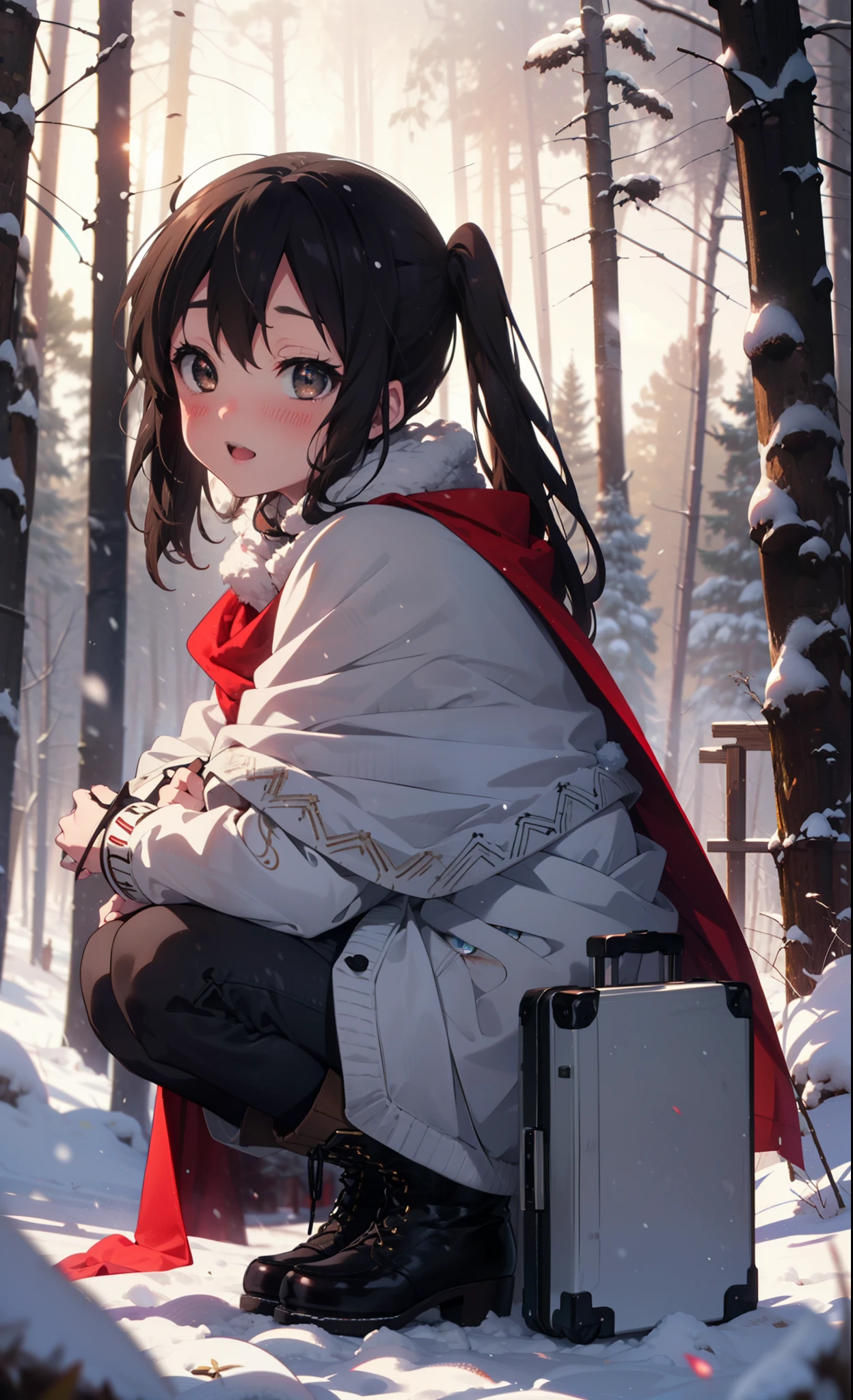 teeth, Azusa Nakano, Black Hair, (Brown eyes:1.5), Long Hair, ,Twin tails,smile,smile,blush,White Breath,
Open your mouth,snow,Ground bonfire,, Outdoor, boots, snowing, From the side, wood, suitcase, Cape, Blurred, , forest, White handbag, nature, Squat, Mouth closed, Cape, winter, Written boundary depth, Black shoes, red Cape break looking at viewer, Upper Body, whole body, break Outdoor, forest, nature, break (masterpiece:1.2), Highest quality, High resolution, unity 8k wallpaper, (shape:0.8), (Beautiful and beautiful eyes:1.6), Highly detailed face, Perfect lighting, Highly detailed CG, (Perfect hands, Perfect Anatomy),