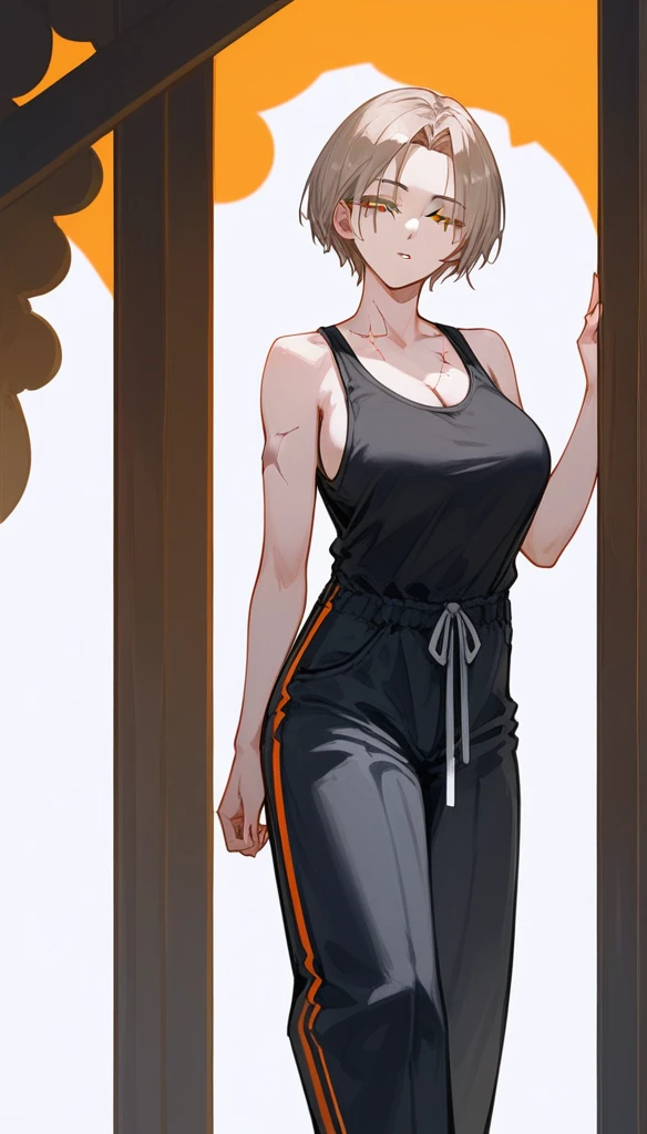 masterpiece, Score_9, Score_8_up, Score_7_up, front view, 1 woman, alone, black and light brown hair, very short hair, parted bangs, golden and orange eyes, half-closed eyes, parted lips, expressionless, pale skin, large breasts, many scars, one scar on one eye, the best quality, long and open bangs, black sleeveless shirt, black V-neckline, baggy pants, high heels.