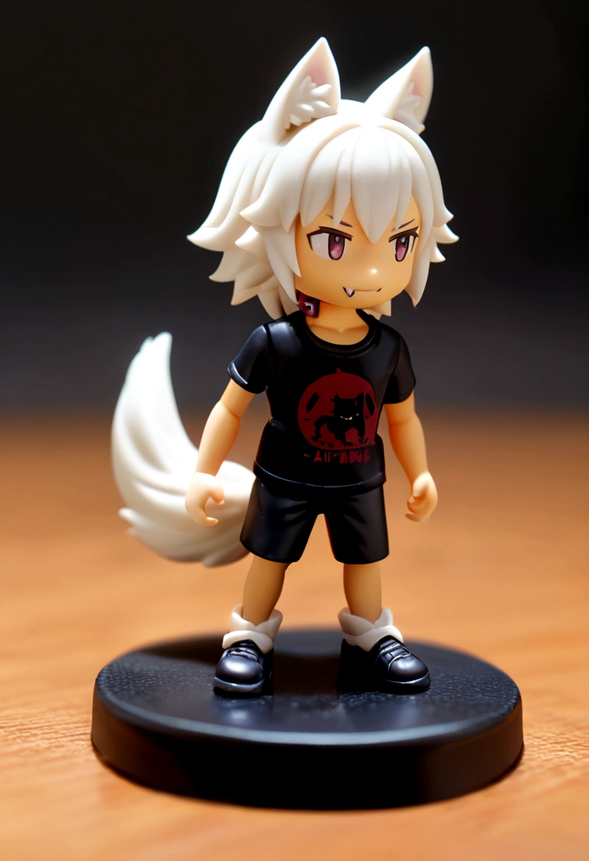 agile man with white hair, Wolf ears and wolf tail., wearing t-shirt, cute fangs, using collar, Alone, alone, (Alone)(alone) slim anime figure