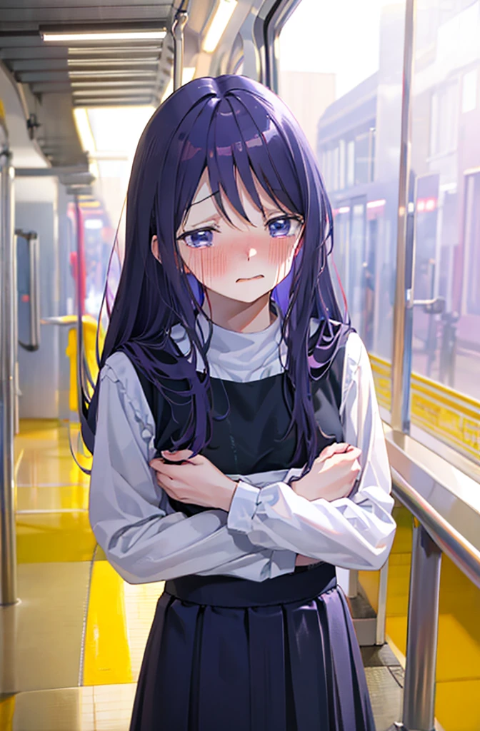 Hide your with your hands、Blushing、Embarrassed expression、、Not wearing a bra、Light purple hair、Semi-long hair、Pale purple eyes、、Blushing、lipstick、Perfect hands、Detailed hands、on the train、、hand bra