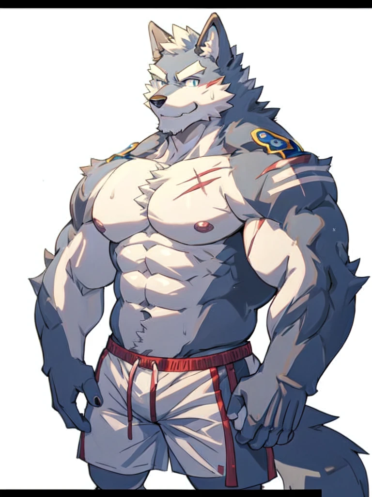 4k, high resolution, best quality, masterpiece, perfect shadows, front view, furry, solo, muscular, big muscles, beard, long white hair, wolf, male, adult, shirtless shorts briefs, belly, nipples, sweat, looking at viewer, shy, blushing smiling, hands on hips((correct anatomy)), scars, white background 