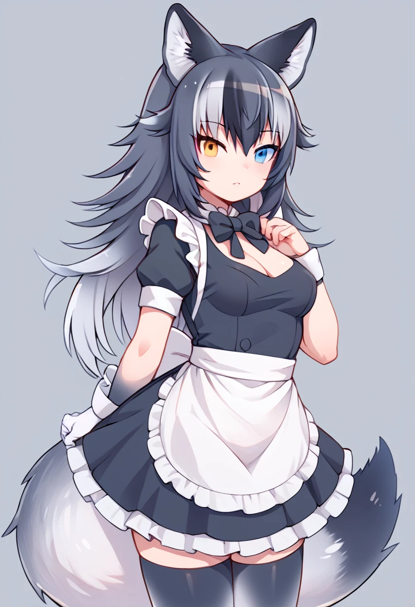 Score_9, Score_8_up, Score_7_up, Score_6_up, Score_5_up, Score_4_up, source_anime, 1girl, grey wolf \(kemono friends\), heterochromia, tail, wolf ears, maid