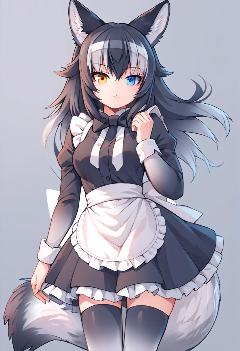 Score_9, Score_8_up, Score_7_up, Score_6_up, Score_5_up, Score_4_up, source_anime, 1girl, grey wolf \(kemono friends\), heterochromia, tail, wolf ears, maid