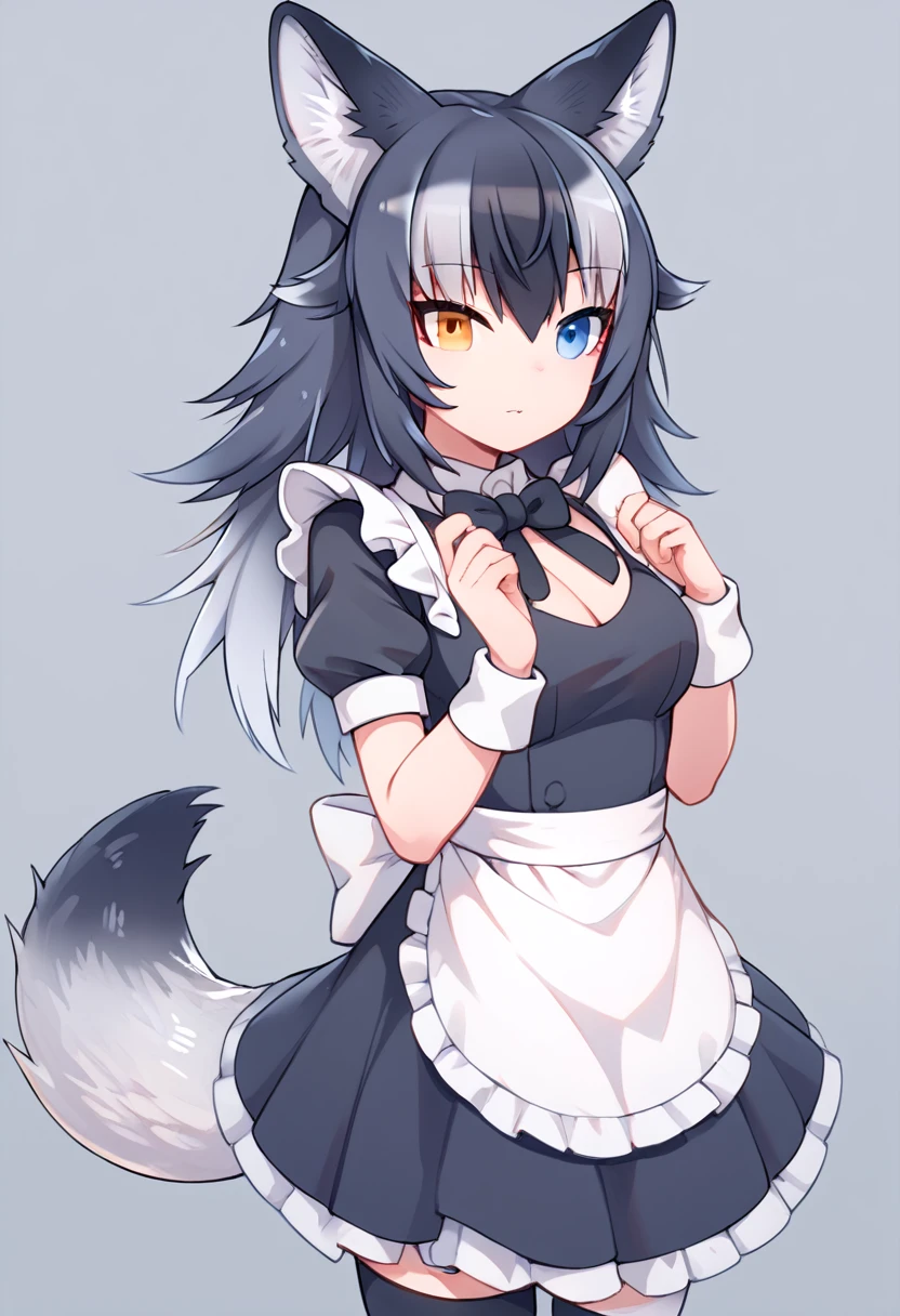 Score_9, Score_8_up, Score_7_up, Score_6_up, Score_5_up, Score_4_up, source_anime, 1girl, nsfw, grey wolf \(kemono friends\), heterochromia, tail, wolf ears, maid, doggystyle, sex, pov