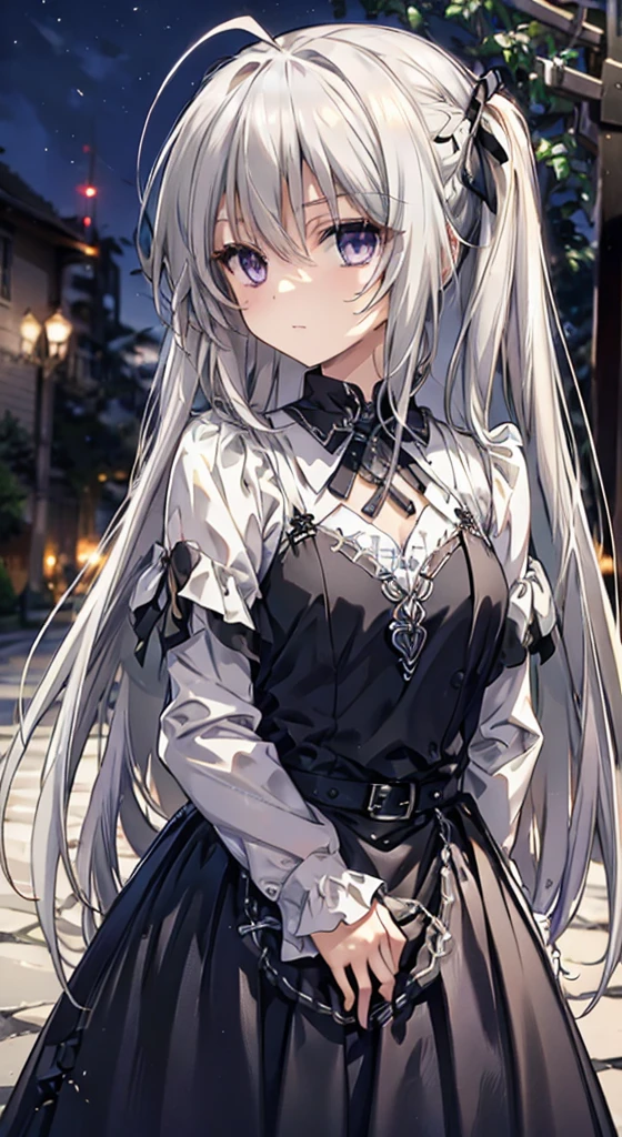 masterpiece, best quality, long hair, silver hair, purple eyes, wind, messy hair, outdoors, night, black dress,