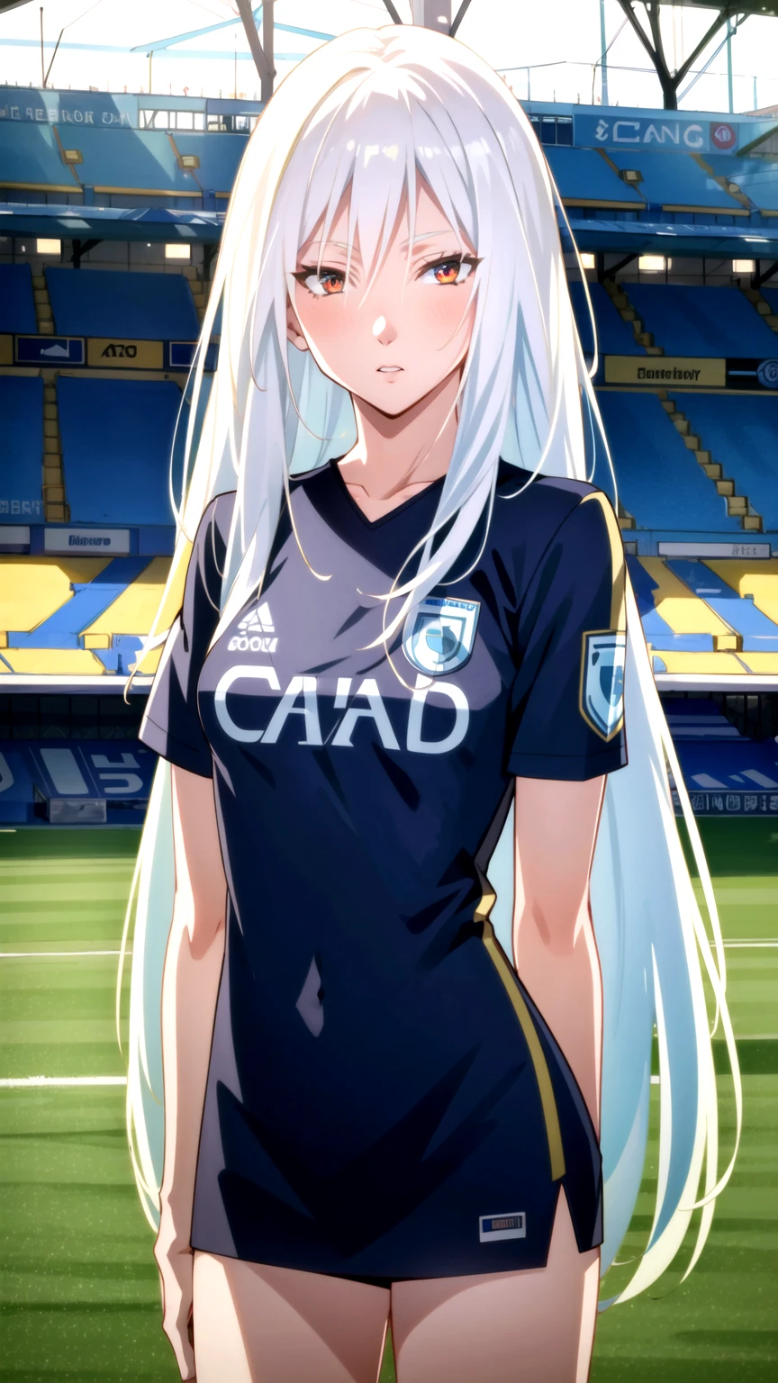 Masterpiece, best quality, very detailed, Ultra high resolution, (photorealistic:1.4), raw photos, (realistic:0.2), 1 girl, alone, long hair,,8k hdr, 1 girl,white hair,red eyes,  medium-large breast, bright eyes, , medium-small breasts,Wearing a Man City shirt, football field stage