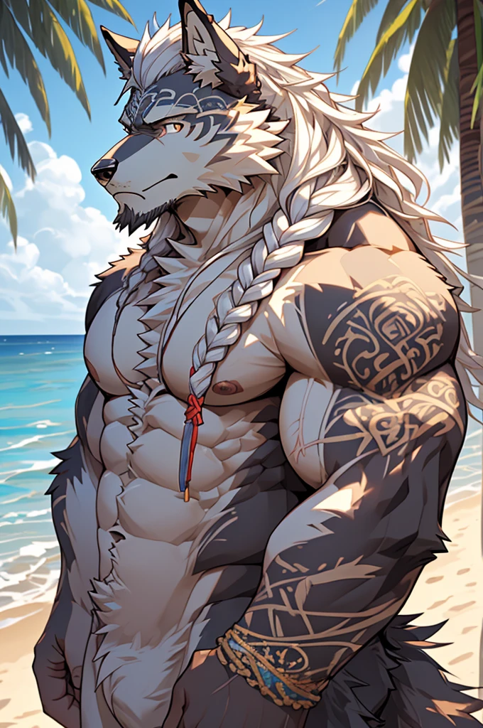 (masterpiece),(highres),(intricate details:1.4),extremely detailed,(illustration:1.2),8k,photorealistic,Anime headshot,exquisite,solo,elder male wolf,muscular,general,(naked upper body:1.4),(white hair:1.3),long hair,braided hair,beard,scar,naked,on the seacoast,beach resort,swimwear,beach,warm sunshine