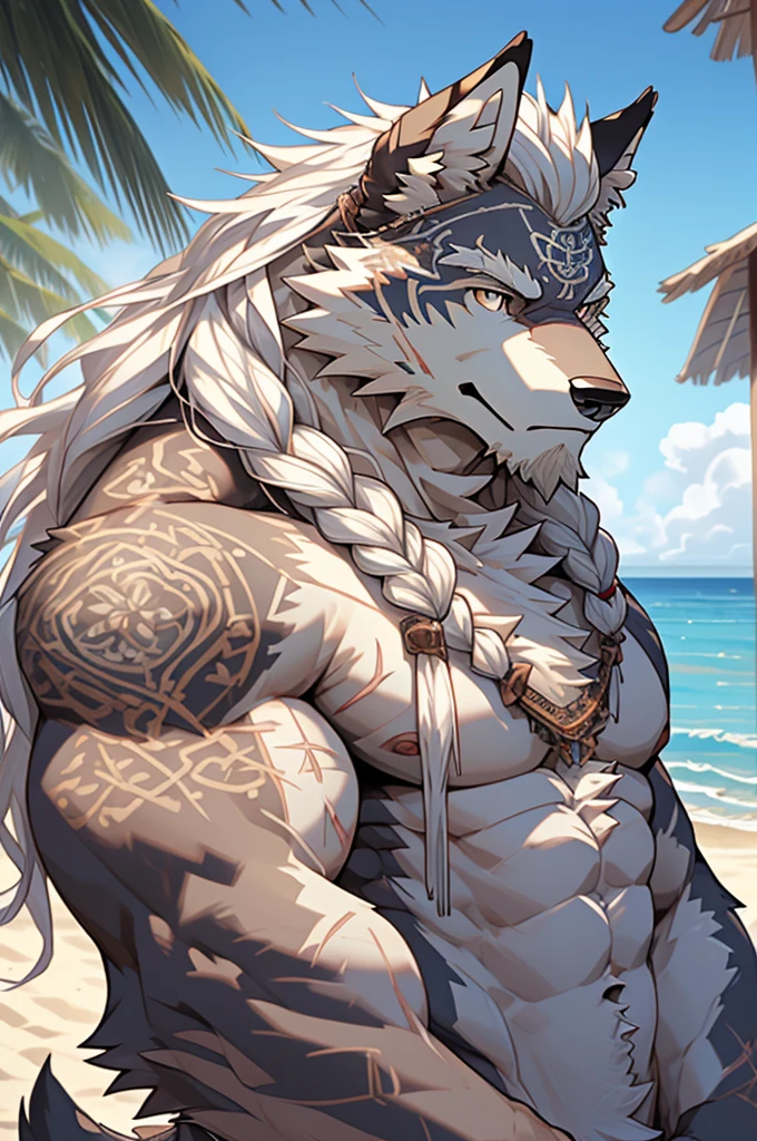 (masterpiece),(highres),(intricate details:1.4),extremely detailed,(illustration:1.2),8k,photorealistic,Anime headshot,exquisite,solo,elder male wolf,grey fur,muscular,general,( upper body:1.4),(white hair:1.3),long hair,braided hair,beard,scar,nakedhe seacoast,beach resort,swimwear,beach,warm sunshine