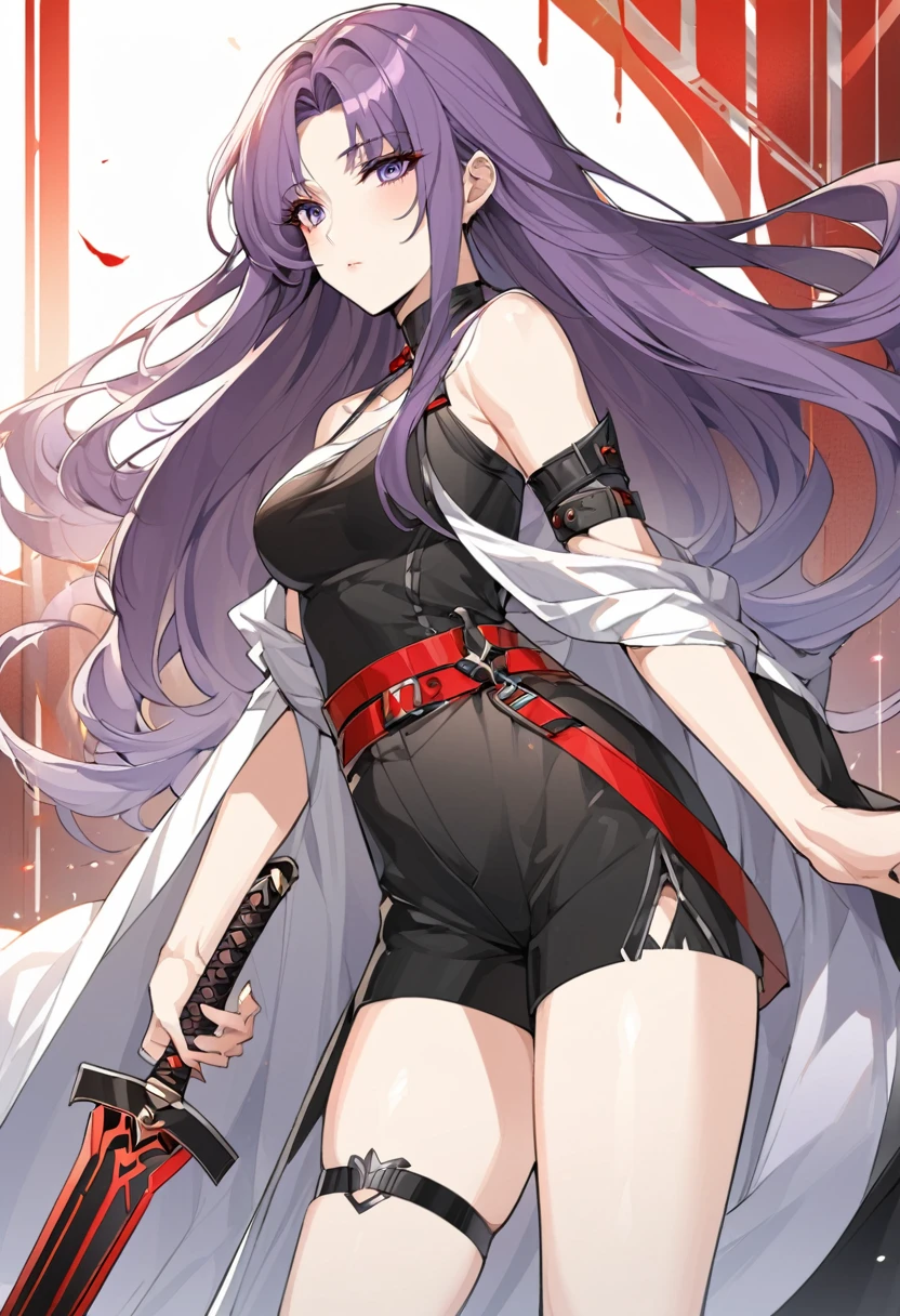 One a beautiful and calm woman, she has dark purple hair mixed with light purple hair at the ends of her hair, she wears black shorts and she wears a dark purple top with a red belt accessory and accessories are a pair of black and white thigh straps. she has a sword which is a symbol of justice. Manhwa style.