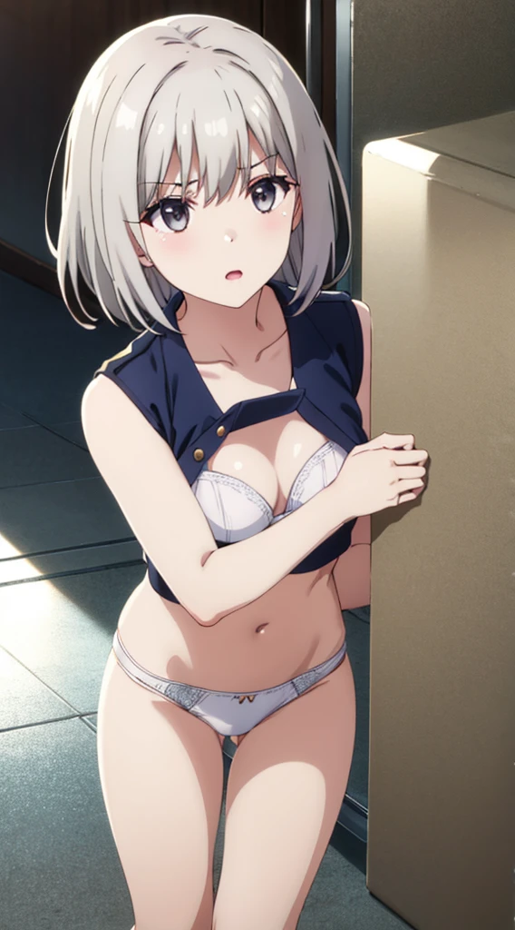 White panties、1 girl、White bra、Gray Hair、Big Breasts