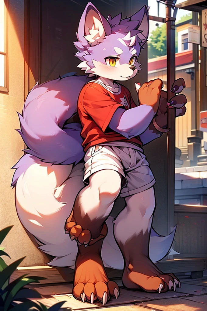 Hairy,Grey fur,male,canid,Arctic fox,One person,Sharp Claws,Fine fur,Golden Eyes,Thick eyebrows,Fluffy tail,Red short sleeves,White shorts,Super detailed:1.0,Libido Boy,,(Dagashi street:1.1),Anatomically correct,Red nails,exposed nails,Barefoot feet,Barefoot feet,Stand on your own two feet,Notice,Purple body,