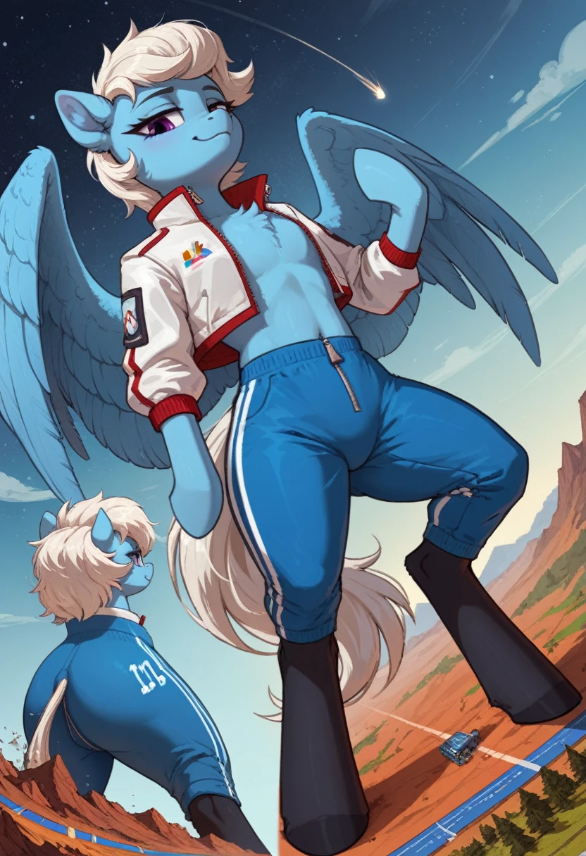 score_9, score_8_up, score_7_up, feral, pale body, female, pegasus, light_blue body, blue body, short straight hair, white mane with blue stripe, white tail with bright blue and light blue stripes, purple eyes, pointed ears, large feathered wings, anatomically correct, feral anatomy, good anatomy, (depth of field), muted colors, extremely high quality RAW photograph, (lying on back), earth pony, semi-anthro, female, ponified, fluff chest, large hoof, hooves, three-quarter view, (a dutch angle shot), ((on 2 legs standing)), ((close-up shot)), macro shot, micro, multiple frames, (((different angles))), front view, side view, back view, (background: landscape, continents visible, starry sky), crushing, stomp, stomping, outfit, clothes, (outfit: white cropped jacket with zipper, lightblue track pants with white lines, black stockings under pants:1.3), smug expression, squatting