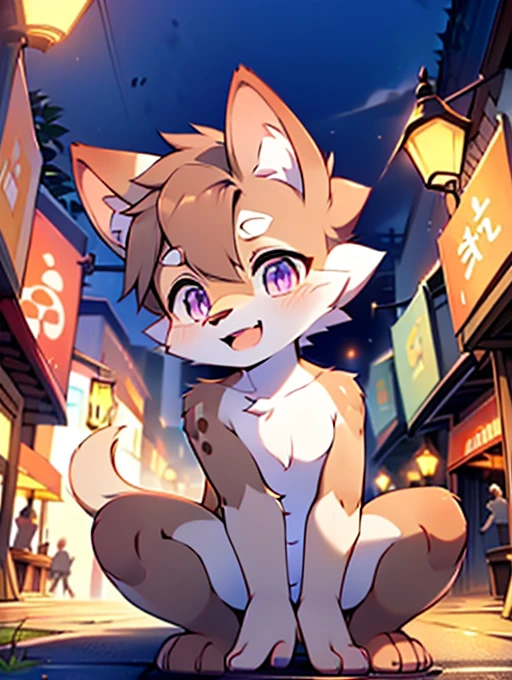 Civet cat, , cute, (alone), (((Has brown and white fur))), Big purple eyes, Blushing, smile, Open your mouth, walking, night, Ancient Asian cities, bright street lights, Blue and black slate road, Empty Streets, Starry Sky, Shadow, Detailed facial depiction, ((Accurate hand drawing)), レンブラントの光とShadow, Ultra-fine，Completely naked，Naked，Naked，Full nudity，Nude，Barely，Fully visible，Spread your legs and point your crotch，Embarrassing，Embarrassing表情，On all fours，Put your hands and feet on the ground，Sit down，Do a hand pose，Four-legged，Accurate hand and foot count，shame，first round，Fantasy，Anime-style depiction，