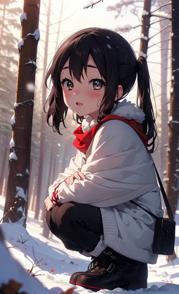teeth, Azusa Nakano, Black Hair, (Brown eyes:1.5), Long Hair, ,Twin tails,smile,smile,blush,White Breath,
Open your mouth,snow,Ground bonfire,, Outdoor, boots, snowing, From the side, wood, suitcase, Cape, Blurred, , forest, White handbag, nature,  Squat, Mouth closed, Cape, winter, Written boundary depth, Black shoes, red Cape break looking at viewer, Upper Body, whole body, break Outdoor, forest, nature, break (masterpiece:1.2), Highest quality, High resolution, unity 8k wallpaper, (shape:0.8), (Beautiful and beautiful eyes:1.6), Highly detailed face, Perfect lighting, Highly detailed CG, (Perfect hands, Perfect ???????),