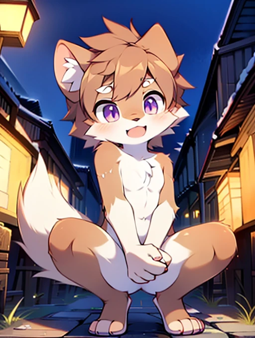 Civet cat, , cute, (alone), (((Has brown and white fur))), Big purple eyes, Blushing, smile, Open your mouth, walking, night, Ancient Asian cities, bright street lights, Blue and black slate road, Empty Streets, Starry Sky, Shadow, Detailed facial depiction, ((Accurate hand drawing)), レンブラントの光とShadow, Ultra-fine，Completely naked，Naked，Naked，Full nudity，Nude，Barely，Fully visible，Spread your legs and point your crotch，Embarrassing，Embarrassed look，On all fours，Put your hands and feet on the ground，Sit like a dog，Shake hands like a dog，Four-legged，Accurate hand and foot count，shame，first round，Fantasy，Anime-style depiction，