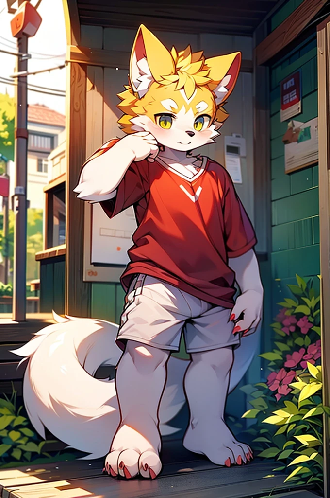 Hairy，Grey fur，male，canid，Arctic fox，one person，Sharp Claws，Fine fur，Golden Eyes，Thick eyebrows，Fluffy tail，Red short sleeves，White shorts，Super detailed：1.0，Libido boy，，（Dagashi street：1.1），Anatomically correct，Red nails，exposed nails，Barefoot feet，Barefoot feet，Stand on your own two feet，Notice，Yellow hair，