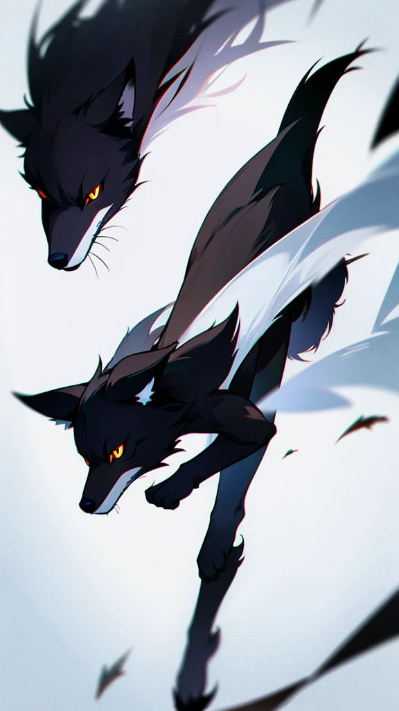 Black fox with white ear and white tail 