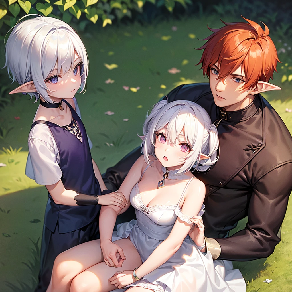 A beautiful girl and a handsome boy(their a couple),the girl has: short white hair,pointy elf ears,and violet eyes,the boy has messy Orange hair,and ash brown eyes (the boy is hugging the girl on his lap)