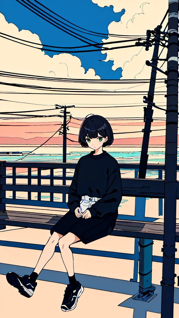 masterpiece, intricate details,highest quality, 1 girl, alone, handrail, cloud, sitting, outdoor, whale, short hair, shoes, null, long sleeve, sneakers, power line, 白いshoes, black hair, looking at the viewer, telephone pole, bangs, cloudy null, fish, bird, green eyes, shorts, animal, Day, black shirt,立っている