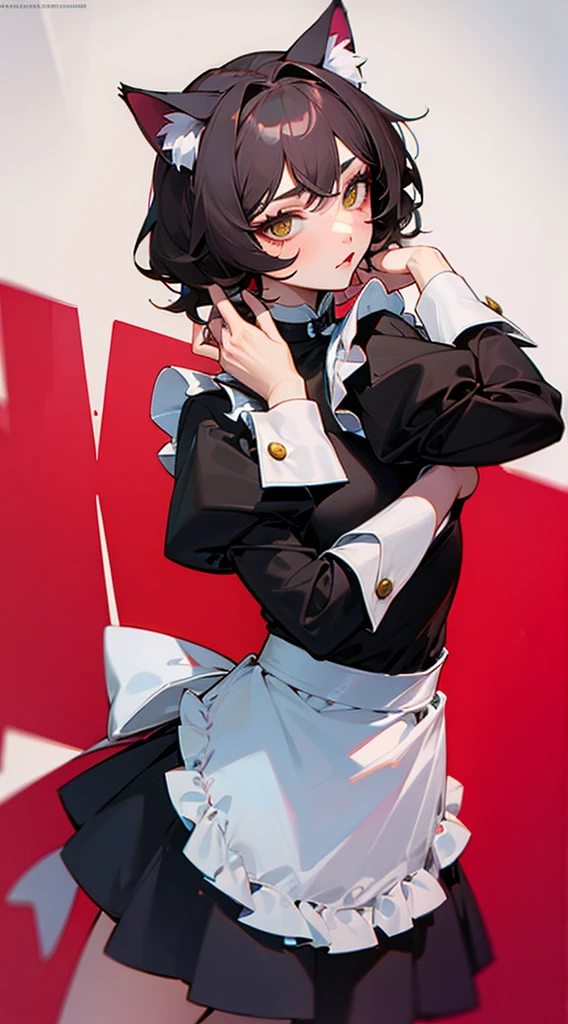 neutral,Crossdresser,Maid clothes,Cat ear