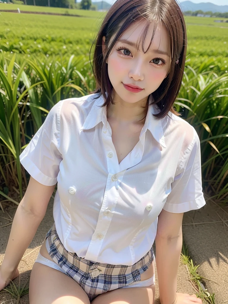 ((Best of the highest quality, 8k, Masterpiece, raw photo: 1.2)), (Sharp focus: 1.2), (1 AESPA, slim body type female, 21 y/o: 1.1), (Solo: 1.28), (realistic, photo-realistic:1.37), face focus, cute face, finely eyes, (droopy eyes: 1.32), (Emphasize prominent aegyo-sal with bright: 1.2), shimmering eyeshadow applied under the lower lash line, paired with thick, (small breasts, flat chest, Thigh: 1.3), (short messy hair: 1.28), (wearing button down business shirt, panties: 1.32), sitting on rice field, paddy field, flower, (from below: 1.12)