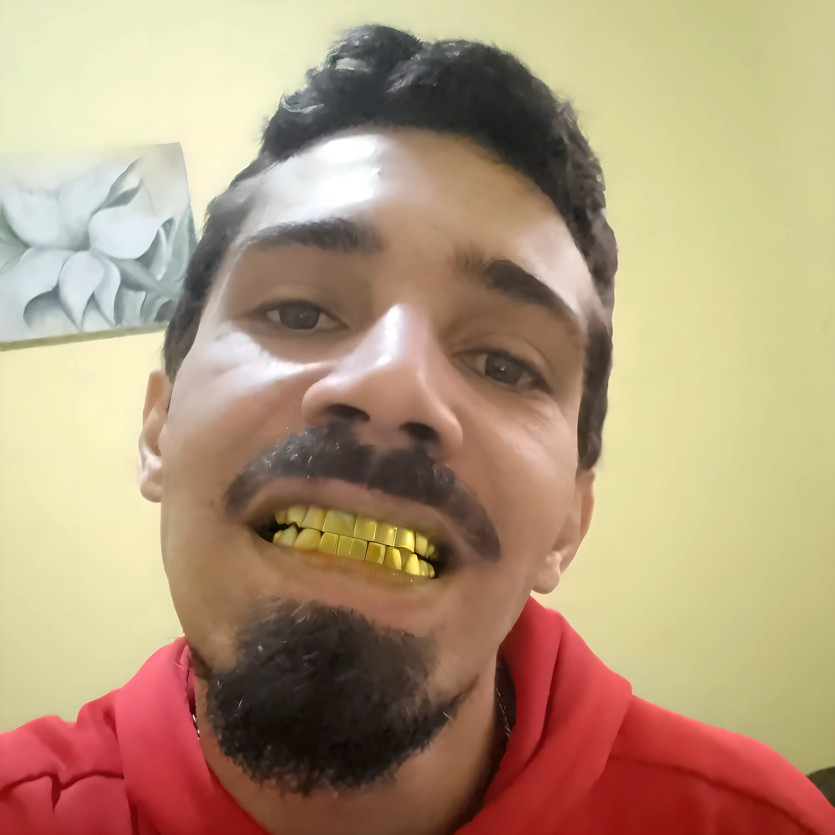 grillz , golden teeth , perfeitos