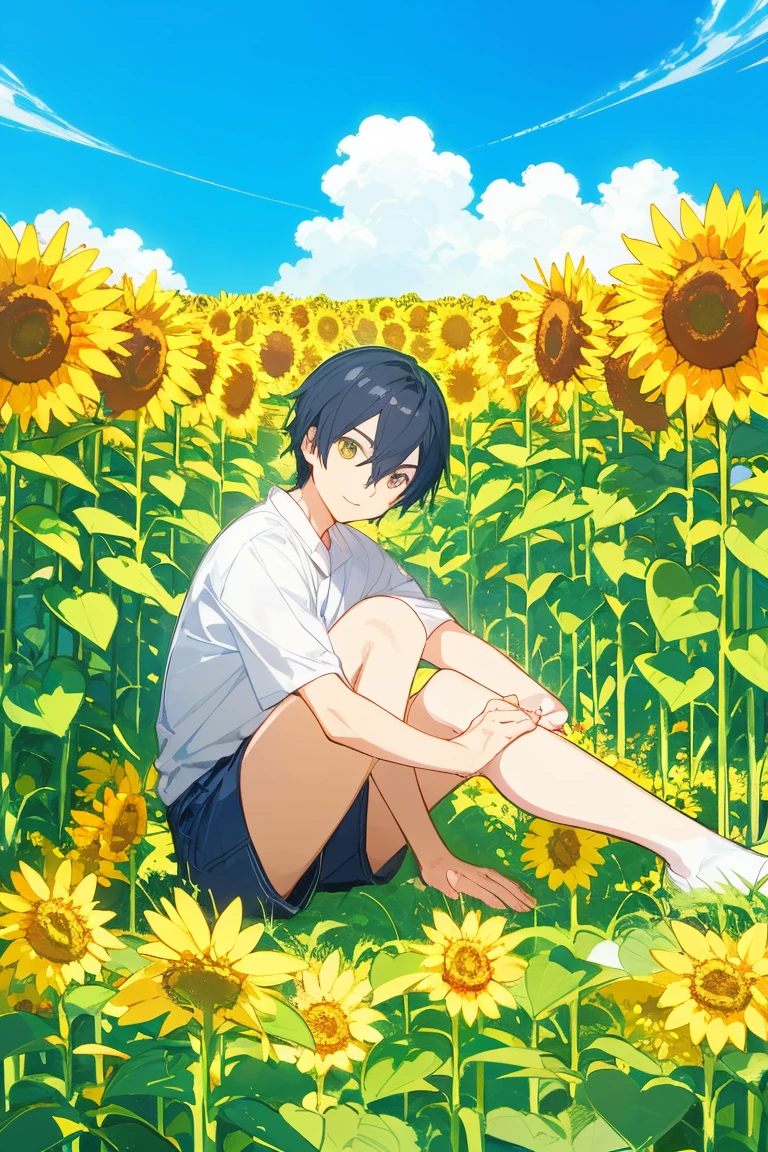 Painting of a boy sitting in a flower bed, 1boy, coronation of Prince of Flowers, Official Anime Artwork, Prince of Flowers, scene : Sunflower field, scene: Sunflower field, bright summer day, Poster ; summer, Official artwork, Yellow sunshine, shigenori soejima illustration, Beautiful sunflower anime girl, Anime Cover, Bright sunny day