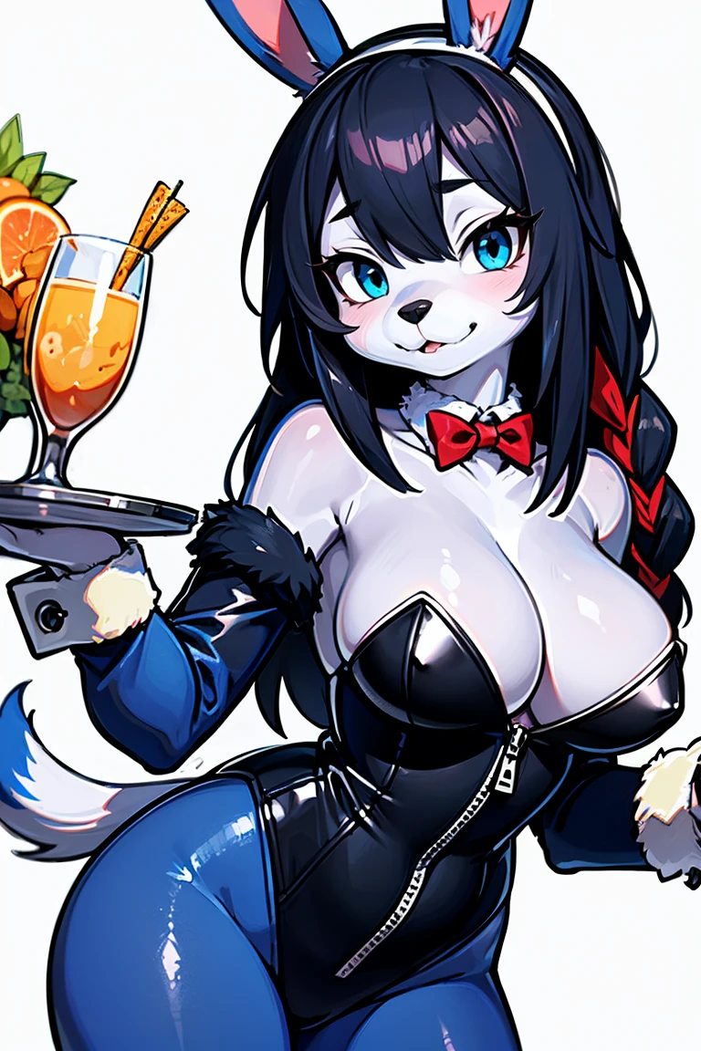 (master piece: 1.1), by sususuigi, White background, furry, wearing Blue bunny suit, Zipper or button closure down the front, Long sleeves with elastic cuffs, Pants with elastic cuffs, dog ears, furry female, colored skin, animal nose, big breasts, body fur, big thick, white fur, two-tone fur, 1girl, bunny ears headband, white skin, grey skin, blue eyes, tail, long hair, bar, playboy bunny, grey fur, tray, multicolored skin, black hair, two-tone skin, red bow, bare shoulders, braid, solo, large breasts, strapless, wolf girl, looking at viewer, thighs, dynamic pose, dynamic angle