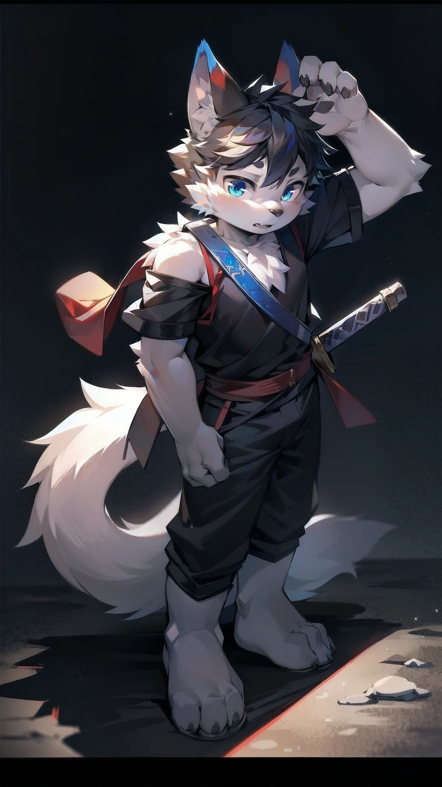 White Wolf,black hair,Sky blue eyes,hairy,Wolf ears,Wolf tail,Full body portrait,The character is in the center of the frame,Handsome,Confident eyes,male,juvenile,Black and white combat uniform,Red neck bib,Black shorts,Short sleeve,hairy arms and legs,Dark background,Dark battlefield,dawn,sunrise,dawn,illumination,shadow,Swordsman,Scabbard and sword,Hold the hilt of a sword in your hand,The scabbard is at the waist,Highest quality