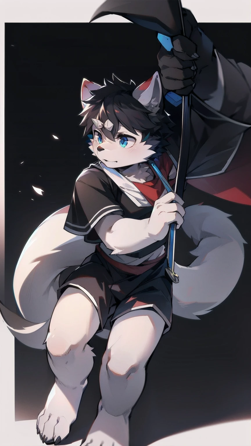 White Wolf，black hair，Sky blue eyes，hairy，Wolf ears，Wolf tail，Full body portrait，The character is in the center of the frame，Handsome，Confident eyes，male，juvenile，Black and white combat uniform，Red neck bib，Black shorts，Short sleeve，hairy arms and legs，Dark background，Dark battlefield，dawn，sunrise，dawn，illumination，shadow，Swordsman，Scabbard and sword，Hold the hilt of a sword in your hand，The scabbard is at the waist，Highest quality