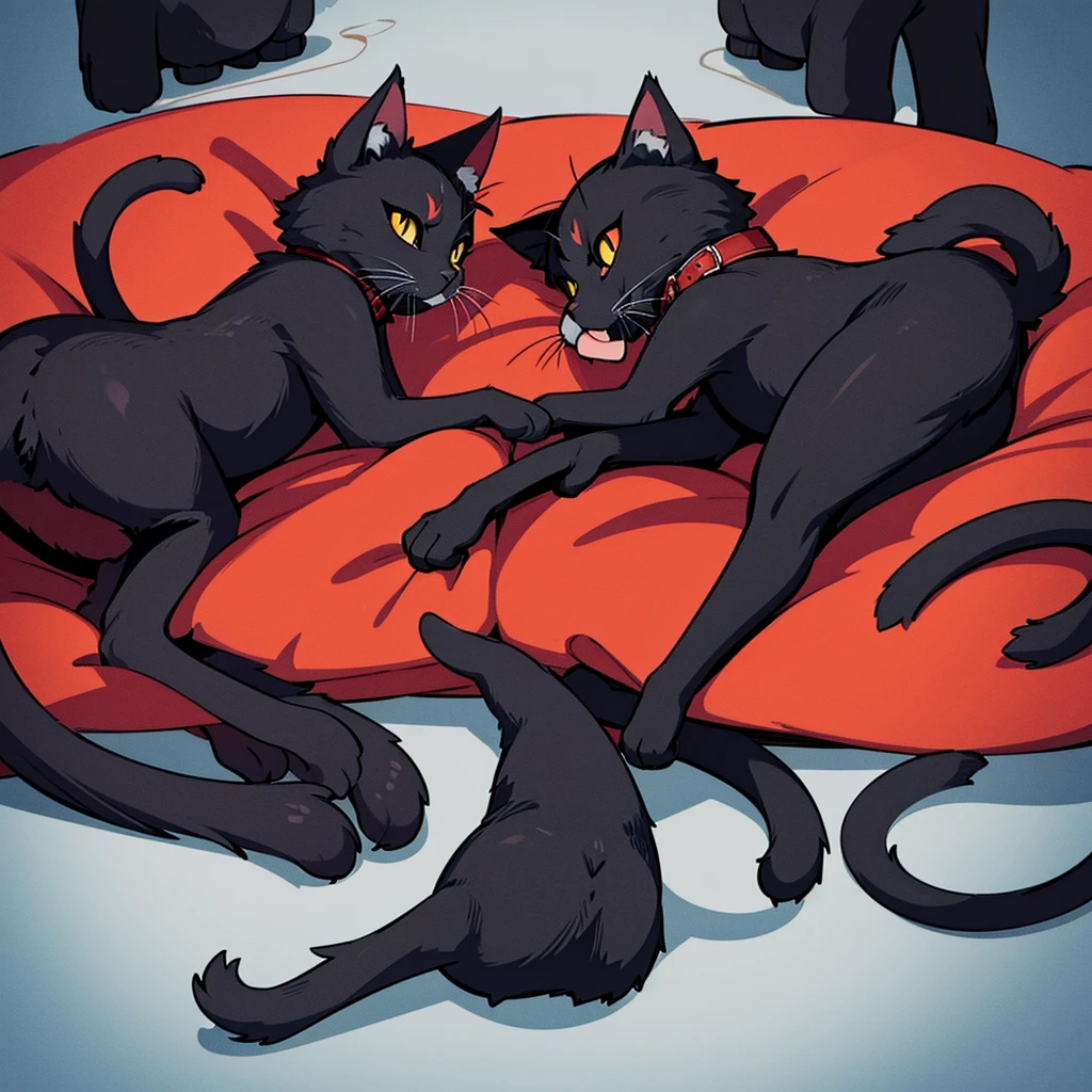 black cat、Red collar、high quality, 8K、Best illustrations、(From the side)、Lots of cats、high quality, 8K、Best illustrations