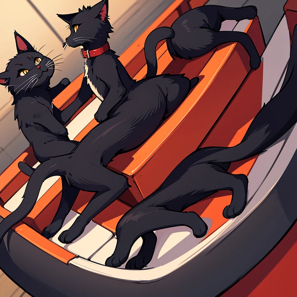 black cat、Red collar、high quality, 8K、Best illustrations、(From the side)、Lots of cats、high quality, 8K、Best illustrations
