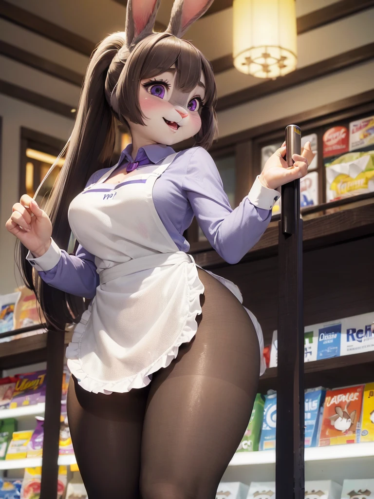 Highest quality, masterpiece, Ultra-realistic, Super detailed, Beautiful details, 4K, 8K, Photo realistic, Realistic lighting.
upper body shot,
Looking at Viewer, Looking at Camera,
((at convenience store)), store clerk, at midnight,
((Anthropomorphic rabbit)),
((woman body)),
((7 heads tall)),
((Rabbit woman)),
Detailed animals,
Complex patterns,
(Furry:1.35),
(All skin is grey:1.3),
(The body is fluffy and bushy:1.3),
Realistic fur,
Human hands,
BREAK
(((Judy Hopps face))),
((Aoki Reika facial expression)),
((ponytail)),
((see-through bangs)), bangs,
((dark brown hair color)),
Purple eyes,
{Eye highlights, Clear eyes, Eyes sparkling, round pupils},
Detailed Iris,
(Eyebrows raised:1.2),
(Crescent eyebrows:1.3),
(Rabbit ears:1.3),
raised corners of mouth.
BREAK
The lady is wearing apron over a shirt.
((brown apron)) BREAK ((white shirt)).
BREAK
(solo:1.5), (1girl:1.5).
Perfect Anatomy.
Lighting front, Lighting forward, Intricate details, Ray Tracing, Realistic,
