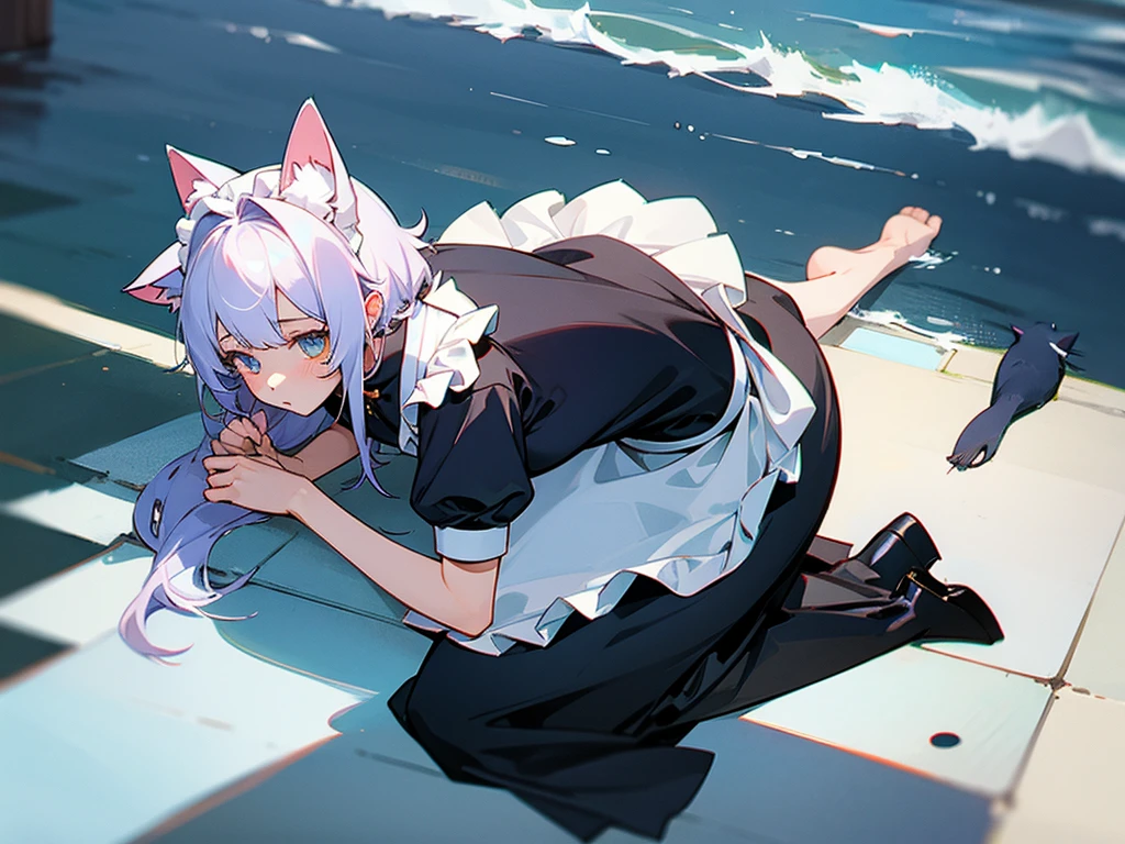 Seal and cat ear maid girl