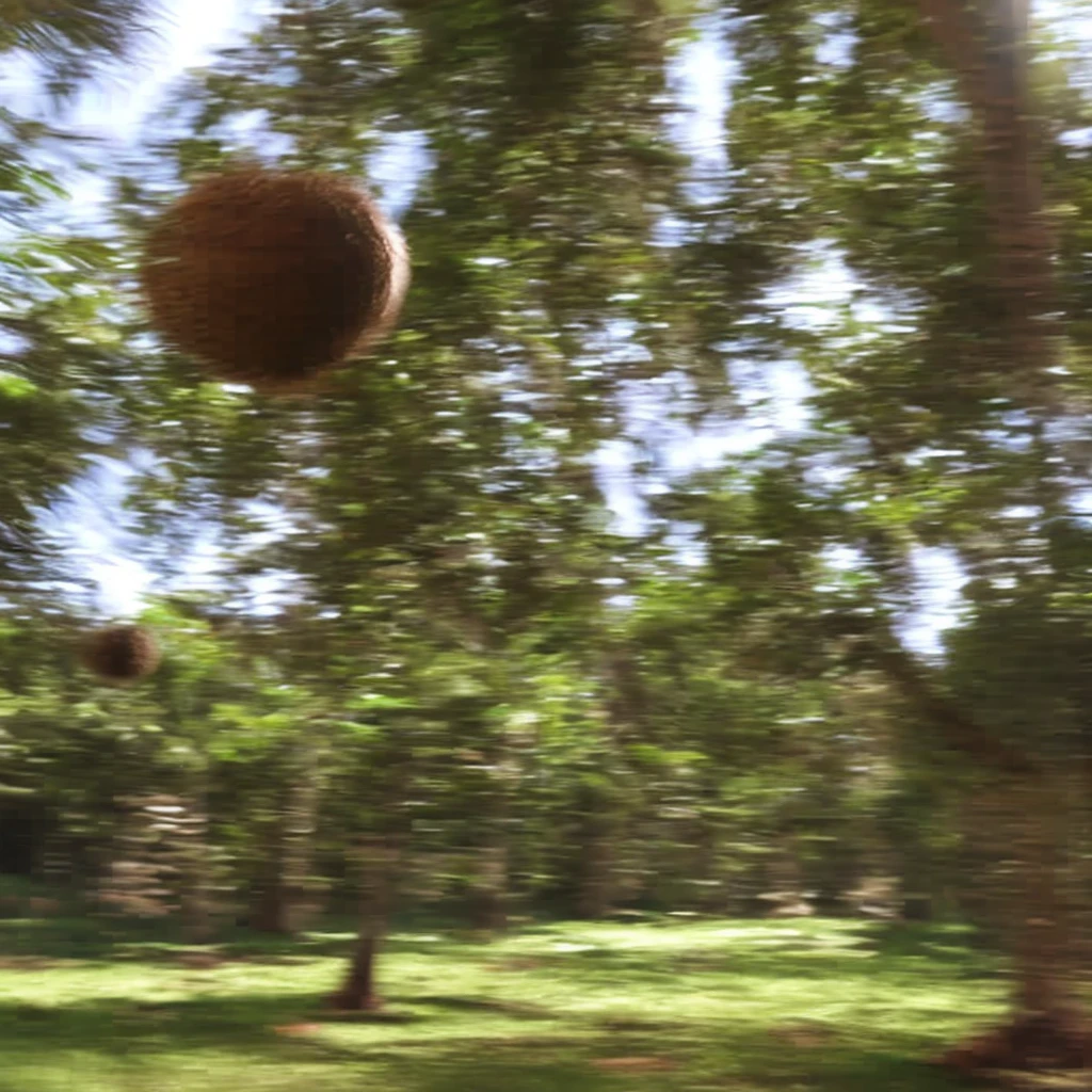 coconut flying around in slow motion, photorealistic depth blur, cinematic, 8K, hyperrealistic, detailed texture,   explosive movement, bokeh effect, shallow focus,
